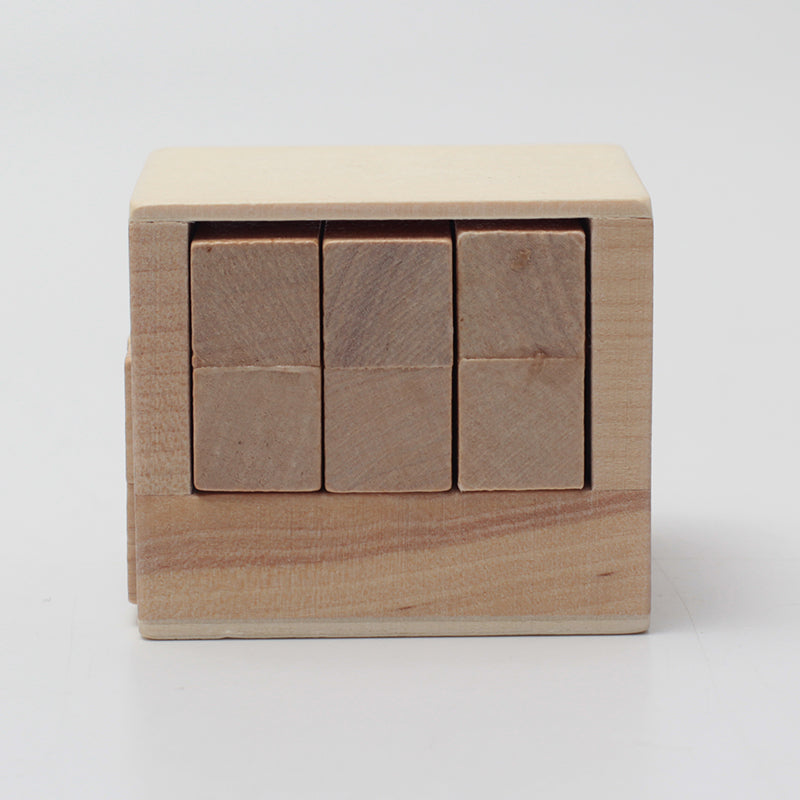Hidden Rule wooden puzzle